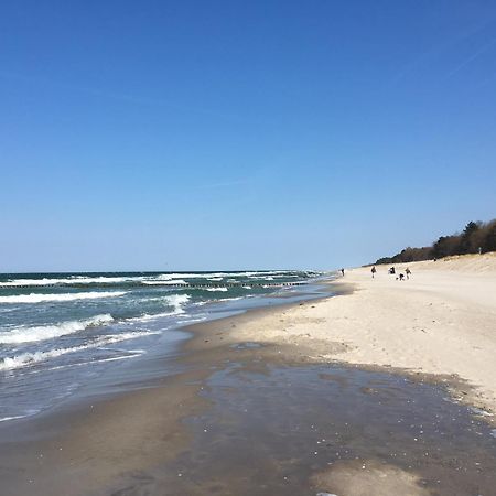 Seepferdchen Zingst Kültér fotó