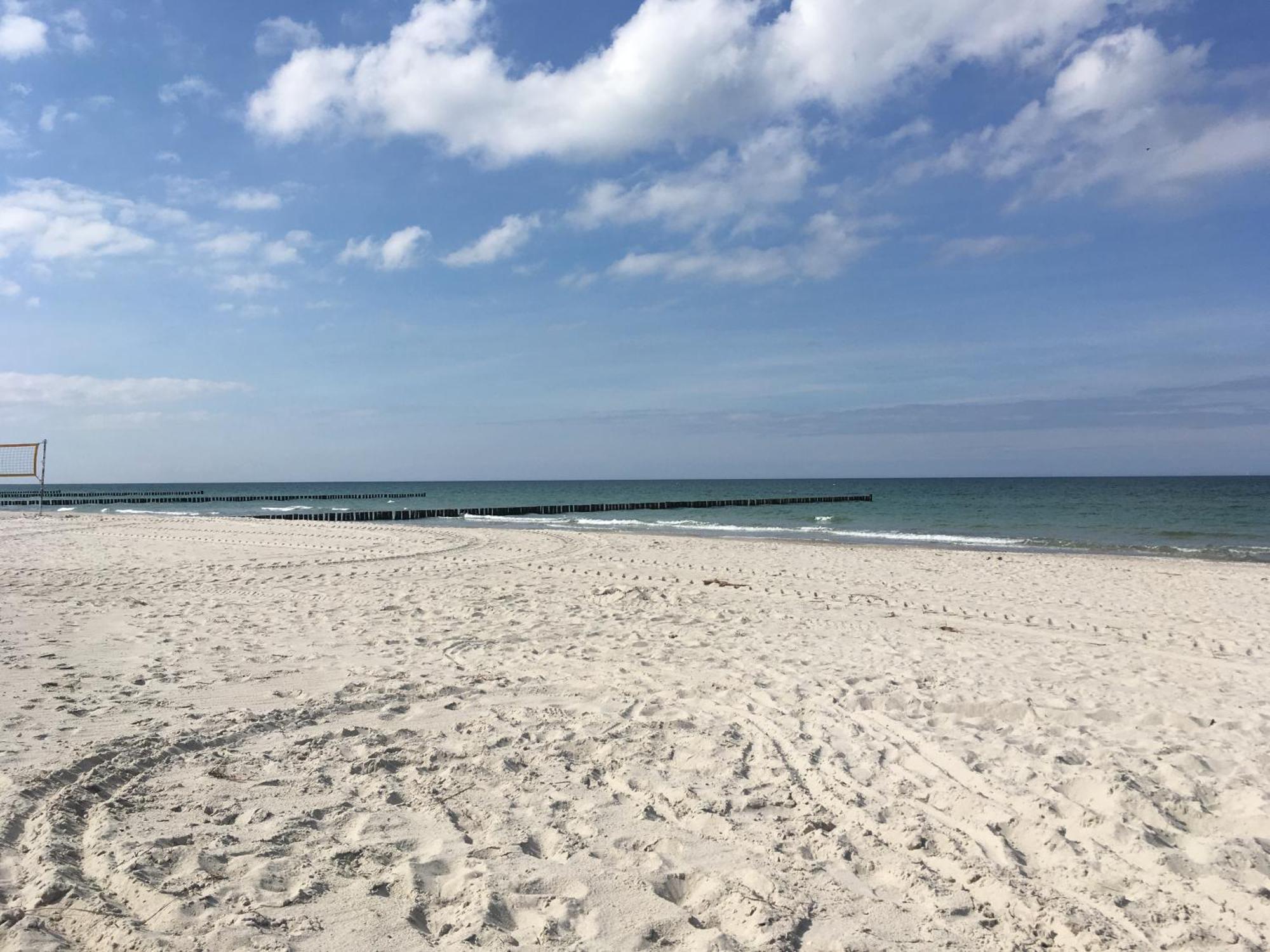 Seepferdchen Zingst Kültér fotó