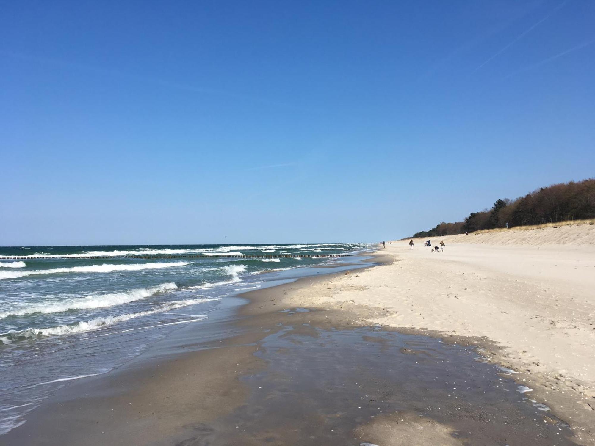 Seepferdchen Zingst Kültér fotó
