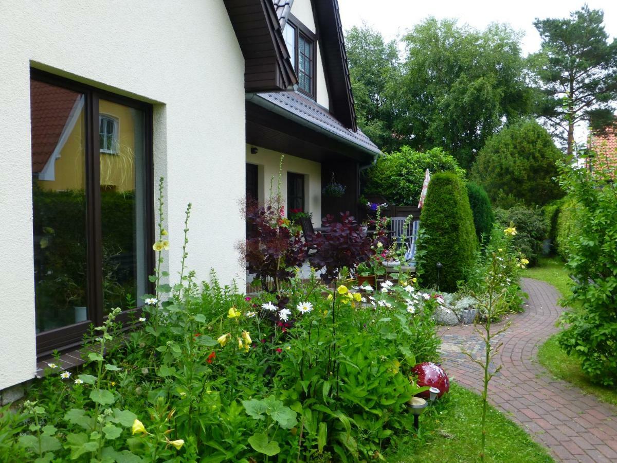 Seepferdchen Zingst Kültér fotó
